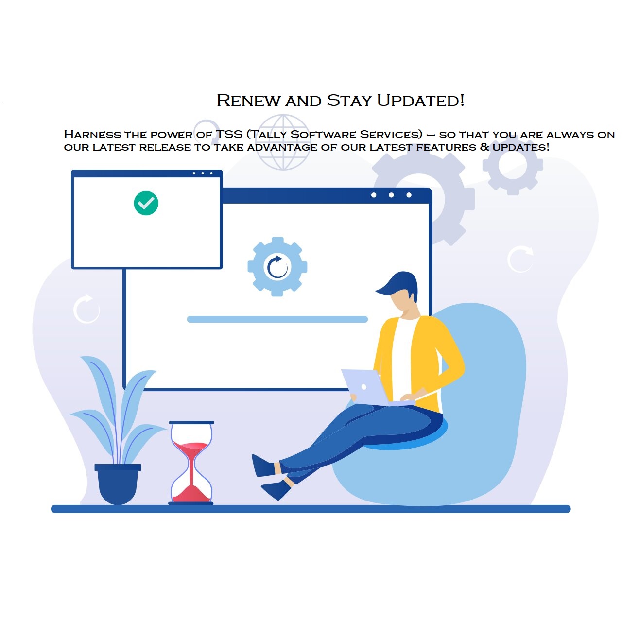  Tally Software Services (TSS)